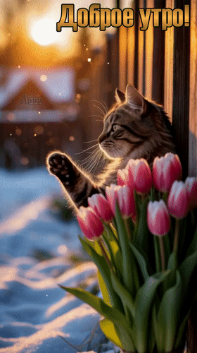 Анимированная открытка Доброе утро