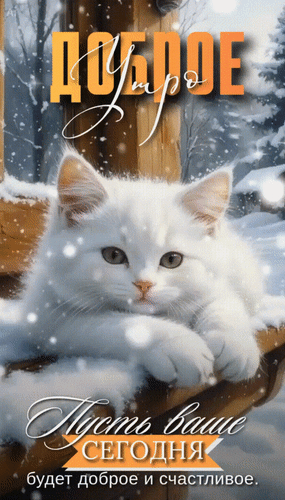 Анимированная открытка Доброе утро. Пусть ваше сегодня будет доброе и счастливое.
