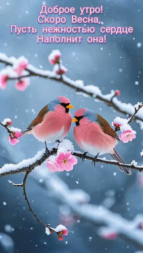 Анимированная открытка Доброе утро! Чудесного дня! Скоро Весна, пусть нежностью сердце наполнит она!