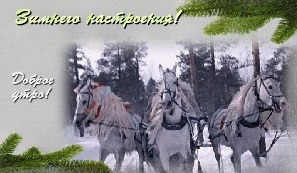 Открытка Доброе утро!