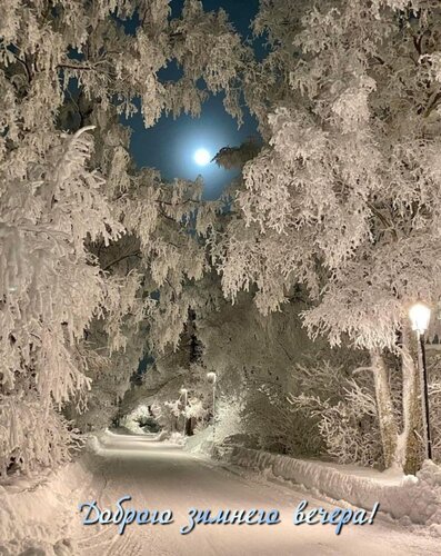 Открытка Доброго зимнего вечера!