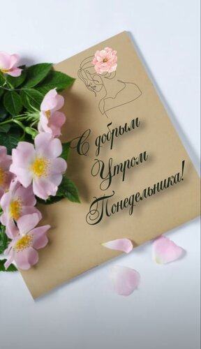 Открытка С добрым утром понедельника!