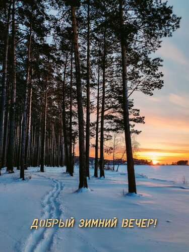 Открытка Добрый зимний вечер!
