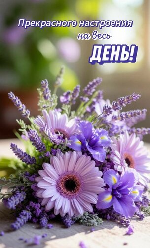 Открытка Прекрасного настроения на весь день!