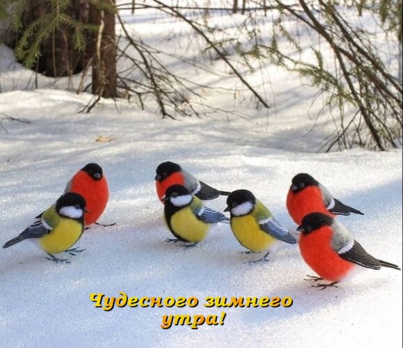 Открытка Чудесного зимнего утра!