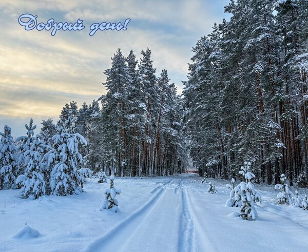 Открытка Добрый день!