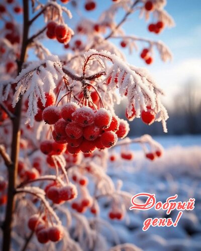 Открытка Добрый день!