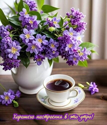 Открытка Хорошего настроения в это утро!
