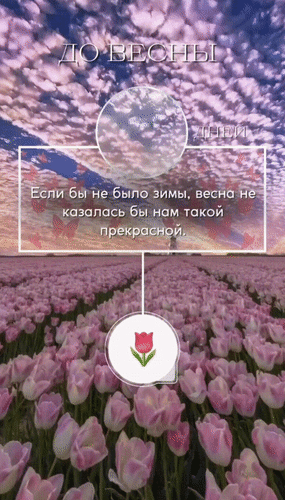 Анимированная открытка До Весны осталось 6 дней. Если бы не было зимы, весна не казалась бы нам такой прекрасной.