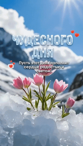 Анимированная открытка Чудесного дня! Пусть этот день наполнит радостью и светом!