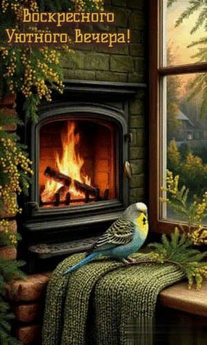 Анимированная открытка Добрый вечер!