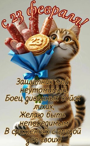 Открытка С 23 февраля. Защитник мой неутомимый, боец диванных войск лихих