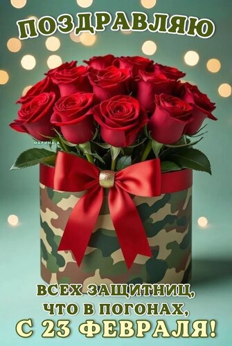 Открытка ПОЗДРАВЛЯЮ ВСЕХ ЗАЩИТНИЦ, ЧТО В ПОГОНАХ, С 23 ФЕВРАЛЯ!