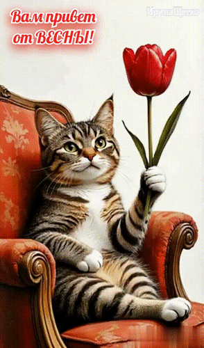 Открытка ВАМ ПРИВЕТ ОТ ВЕСНЫ!