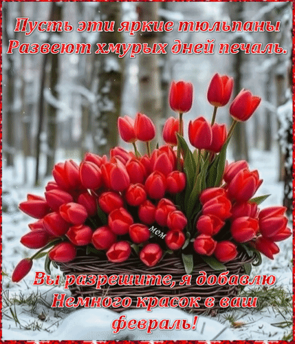 Анимированная открытка Пусть эти яркие тюльпаны развеют хмурых дней печаль. Вы разрешите, я добавлю немного красок в ваш фе