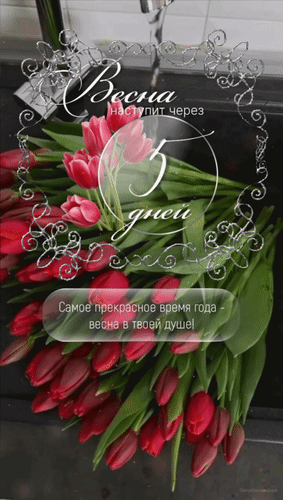 Анимированная открытка Весна наступит через 5 дней. Самое прекрасное время года - весна в твоей душе!