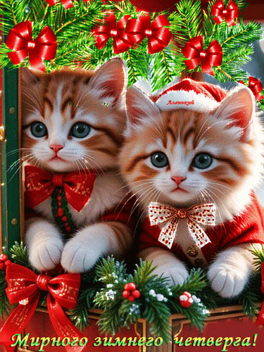 Открытка Мирного зимнего четверга!