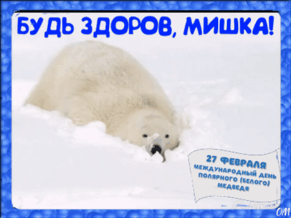 Анимированная открытка день белого медведя 1