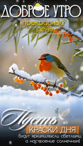 Анимированная открытка Доброе утро. Прекрасный день. пусть краски дня будут яркими, мысли светлыми, а настроение солнечным!