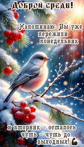 Открытка Среда