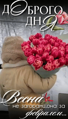 Анимированная открытка Доброго дня! Весна не за горами, она за февралём...