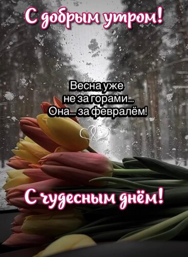 Открытка Весна уже не за горами. Она - за февралём!