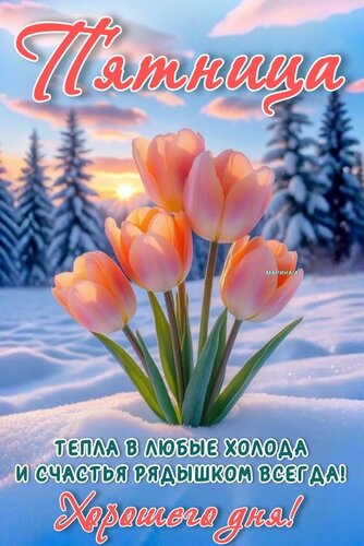 Открытка ПЯТНИЦА! ТЕПЛА В ЛЮБЫЕ ХОЛОДА И СЧАСТЬЯ РЯДЫШКОМ ВСЕГДА! ХОРОШЕГО ДНЯ!