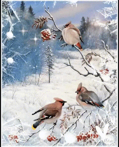 Анимированная открытка Доброго утра! Светлого дня! Солнечного настроения! Здоровья и добра!