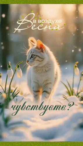 Анимированная открытка В воздухе Весна. Чувствуете?