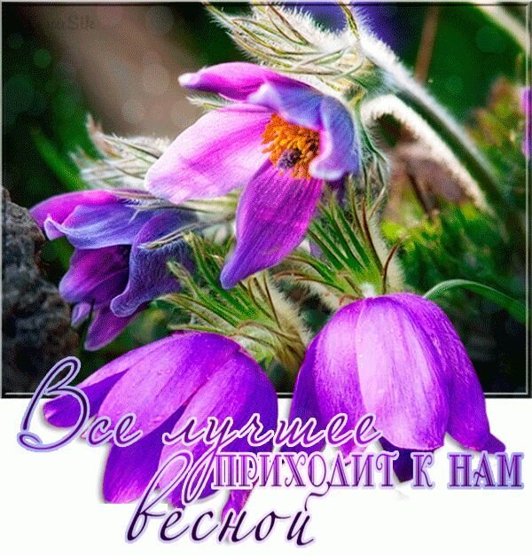 Открытка Все лучшее приходит к нам весной