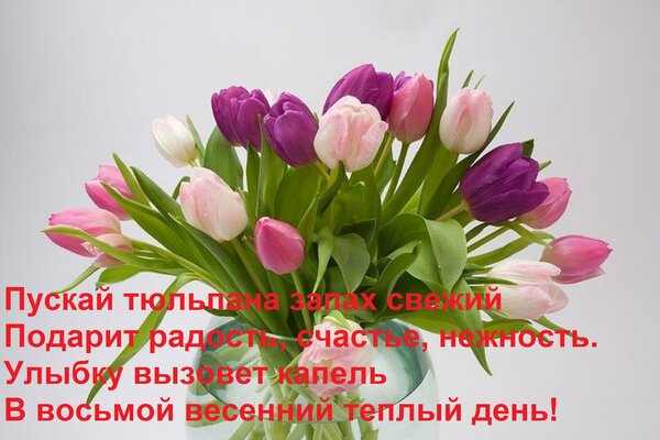 Открытка Пускай тюльпана запах свежий Подарит радость, счастье, нежность. Улыбку вызовет капель В восьмой вес