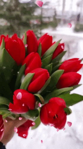 Анимированная открытка 8 Марта С Добрым праздничным утром!