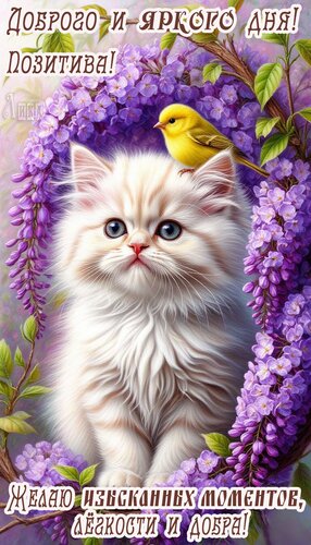 Открытка Доброго дня