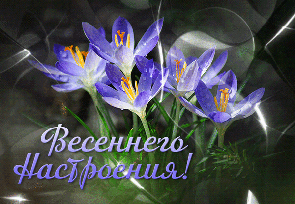 Анимированная открытка Весеннего настроения!