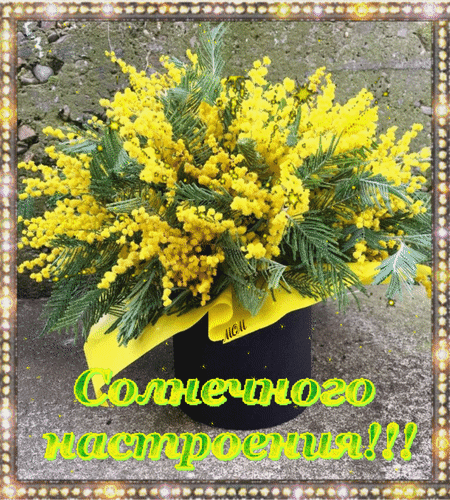 Анимированная открытка Солнечного настроения!