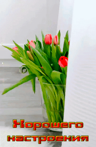 Анимированная открытка Хорошего настроения