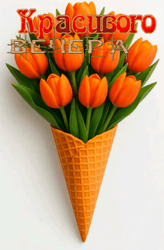 Анимированная открытка Красивого вечера!