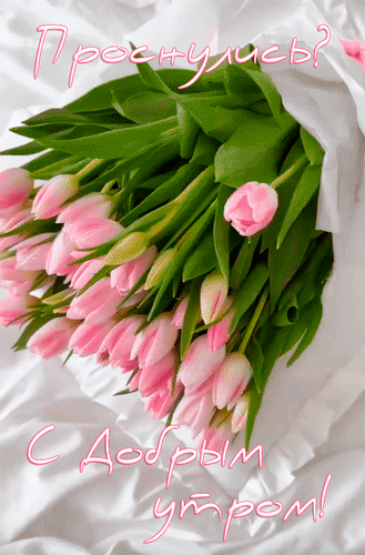 Анимированная открытка Проснулись? С добрым утром!