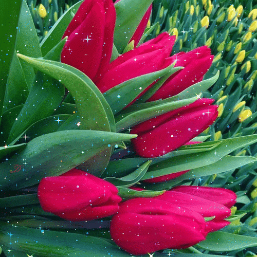 Анимированная открытка нет текста