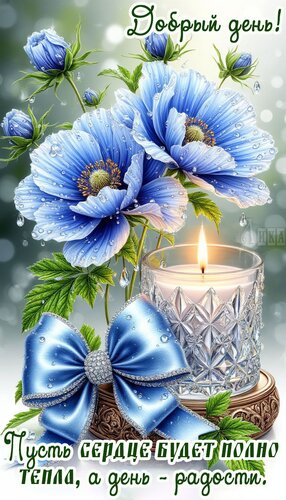 Открытка Добрый день!