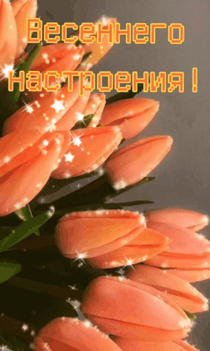Анимированная открытка Весеннего настроения!