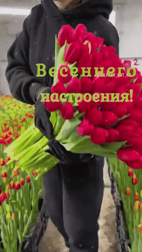 Анимированная открытка Весеннего настроения!