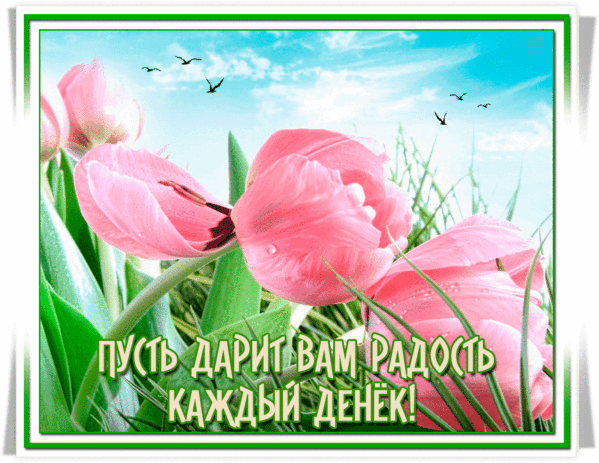 Анимированная открытка Пусть дарит радость каждый денёк!