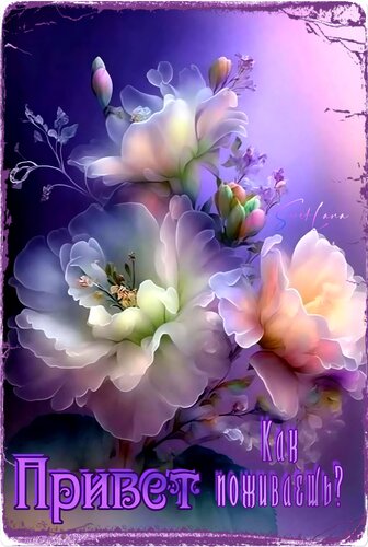 Открытка Привет. Как поживаешь?