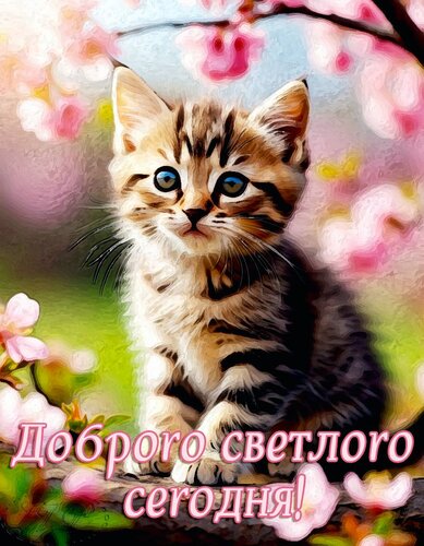 Открытка Доброго светлого сегодня