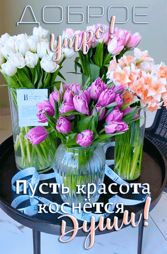 Анимированная открытка Доброе утро! Пусть красота коснется души!