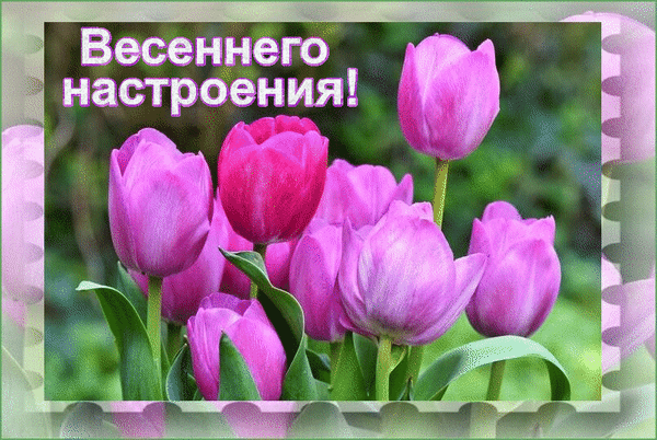 Анимированная открытка Весеннего настроения!
