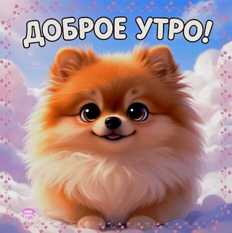 Открытка Доброе утро!