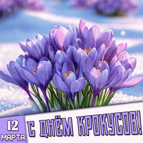 Открытка 12 марта С днём крокусов!