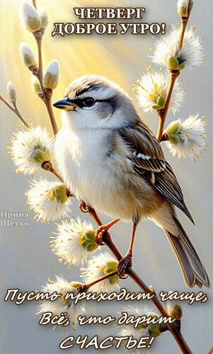 Открытка ДОБРОЕ УТРО!